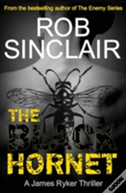 Capa do artigo The Black Hornet