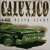 Capa do artigo The Black Light - Vinil
