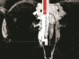 The Black Monday Murders Volume 1 - Preview