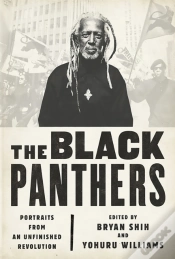 Capa do artigo The Black Panthers