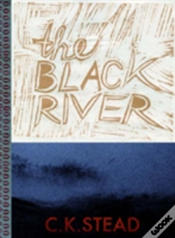 Capa do artigo The Black River