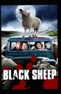 The Black Sheep - Preview