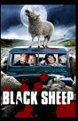 The Black Sheep - Preview