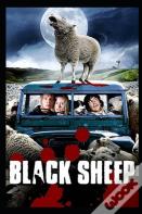 The Black Sheep Illustrated