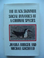 The Black Skimmer - Preview
