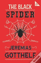 Capa do artigo The Black Spider