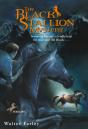 The Black Stallion Mystery - Preview