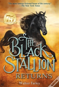 Capa do artigo The Black Stallion Returns