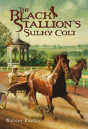 The Black Stallion'S Sulky Colt - Preview