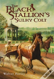 Capa do artigo The Black Stallion