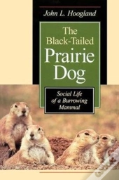The Black-Tailed Prairie Dog