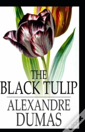 Capa do artigo The Black Tulip