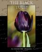The Black Tulip - Preview
