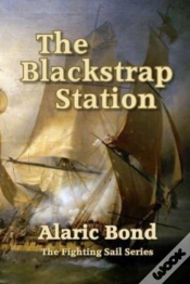Capa do artigo The Blackstrap Station