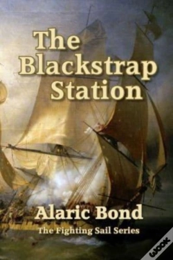 Capa do artigo The Blackstrap Station