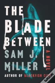 Capa do artigo The Blade Between