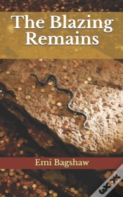 Capa do artigo The Blazing Remains