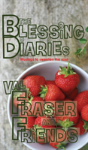The Blessing Diaries - Preview