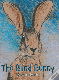 Capa do artigo The Blind Bunny