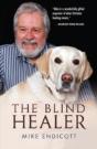 The Blind Healer - Preview