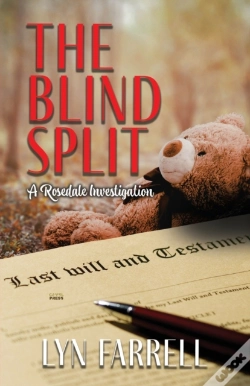 Capa do artigo The Blind Split