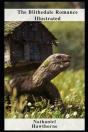 The Blithedale Romance Illustrated - Preview