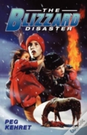 Capa do artigo The Blizzard Disaster