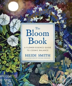 Capa do artigo The Bloom Book
