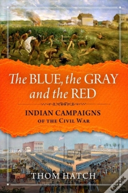Capa do artigo The Blue, The Gray And The Red