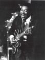The Blues - Preview
