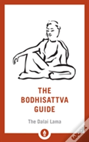 Capa do artigo The Bodhisattva Guide