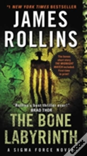 Capa do artigo The Bone Labyrinth