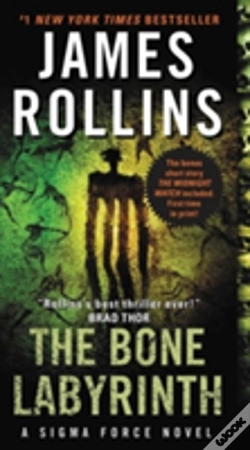 Capa do artigo The Bone Labyrinth