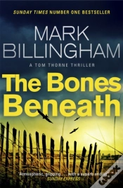 Capa do artigo The Bones Beneath