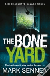 Capa do artigo The Boneyard