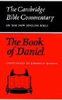 The Book Of Daniel - Preview