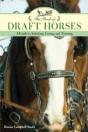 The Book Of Draft Horses - Preview