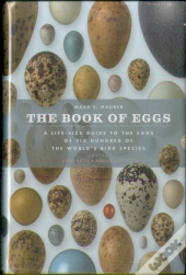 The Book Of Eggs