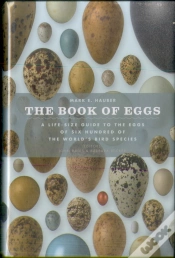 Capa do artigo The Book Of Eggs