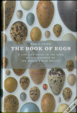 Capa do artigo The Book Of Eggs