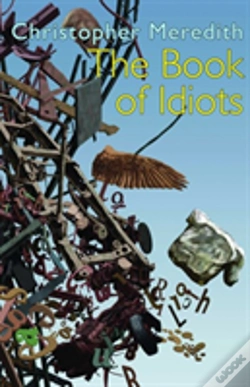 Capa do artigo The Book Of Idiots