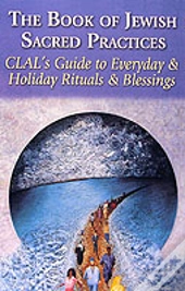 The Book Of Jewish Sacred Practices