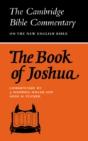 The Book Of Joshua - Preview