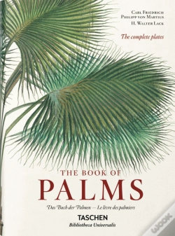 Capa do artigo The Book of Palms