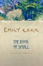 The Book Of Small - Preview