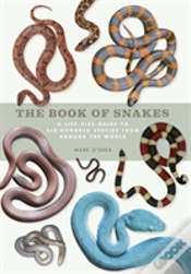 Capa do artigo The Book Of Snakes