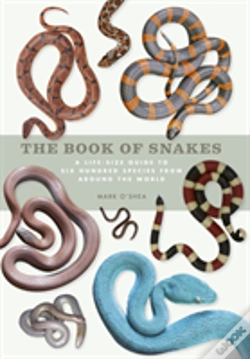 Capa do artigo The Book Of Snakes