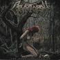 The Book Of Suffering - CD - Preview