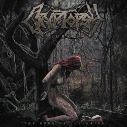 Capa do artigo The Book of Suffering - CD