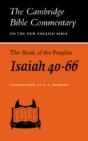 The Book Of The Prophet Isaiah, Chapters 40-66 - Preview